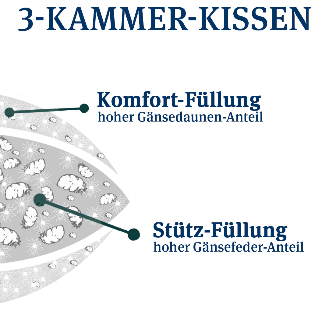 Vorschaubild 9